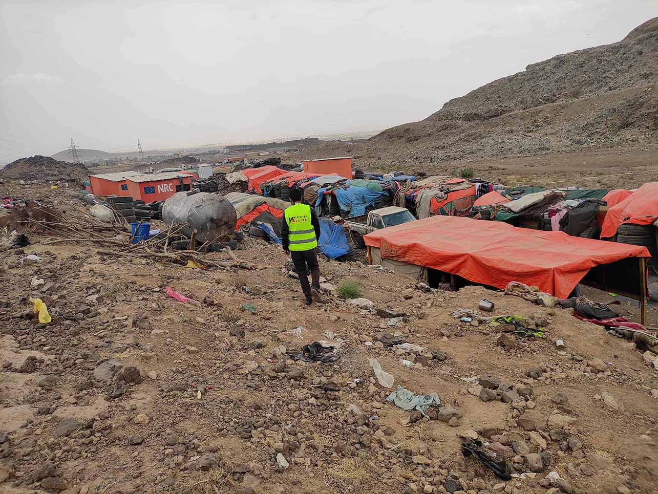 Solidarity & Compassion